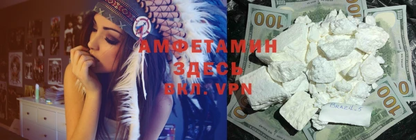 прущие грибы Арсеньев