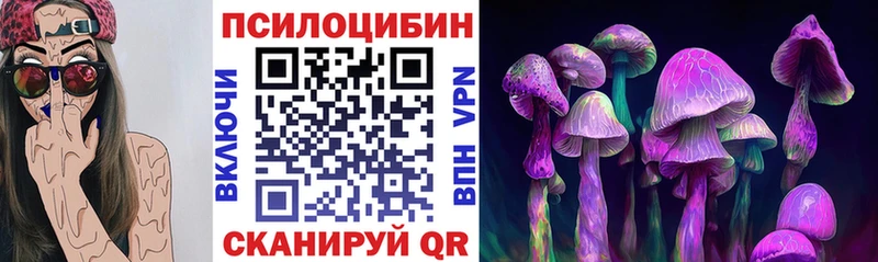 кракен онион  Сорочинск  Галлюциногенные грибы Cubensis 